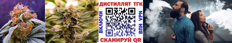 darknet официальный сайт Североморск Дистиллят ТГК вейп с тгк